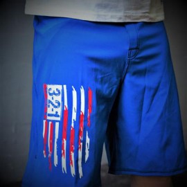 321 APPAREL - Mens Modern Flag Shorts